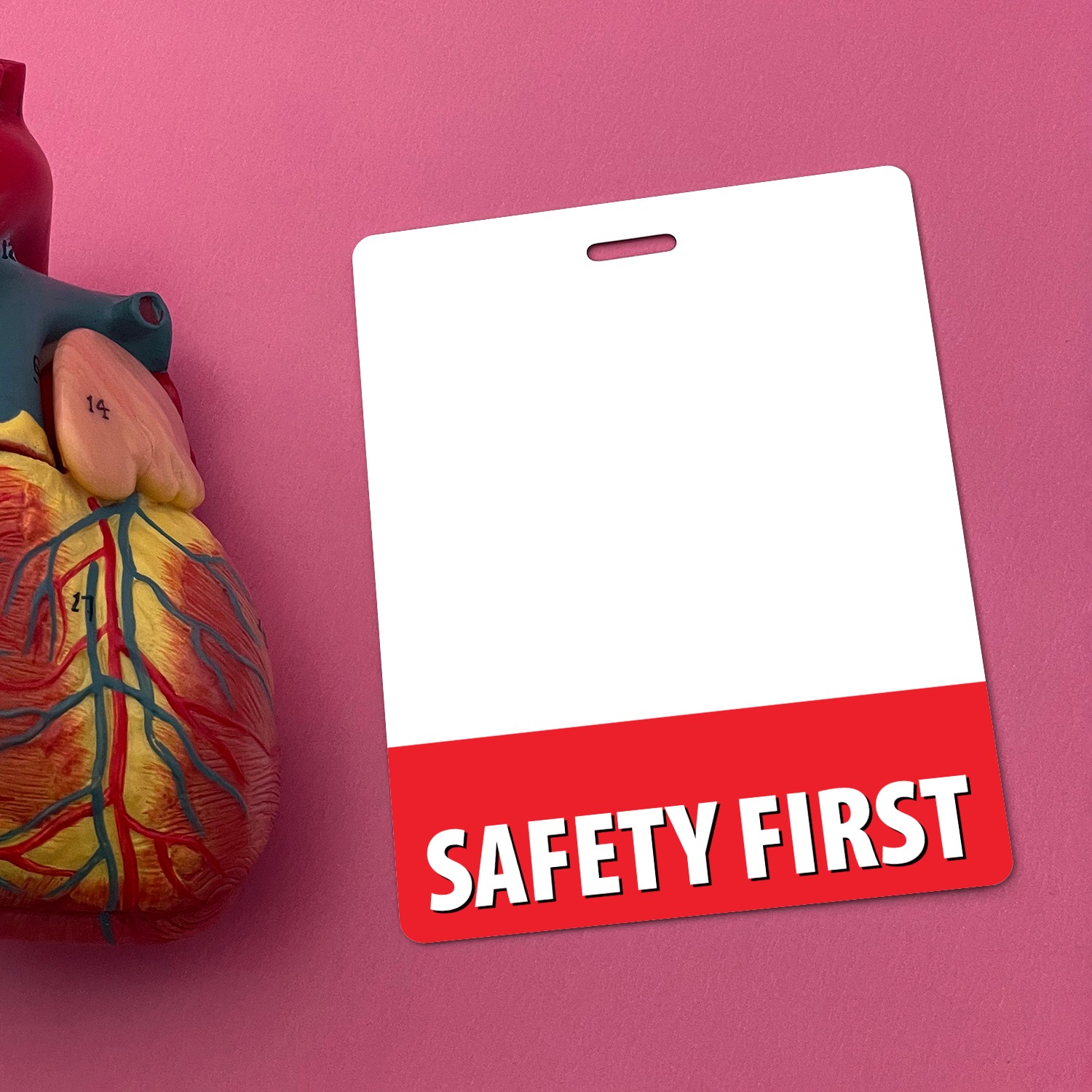 Portrait SAFETY FIRST badge buddy beside an anatomical heart model on a bright pink background