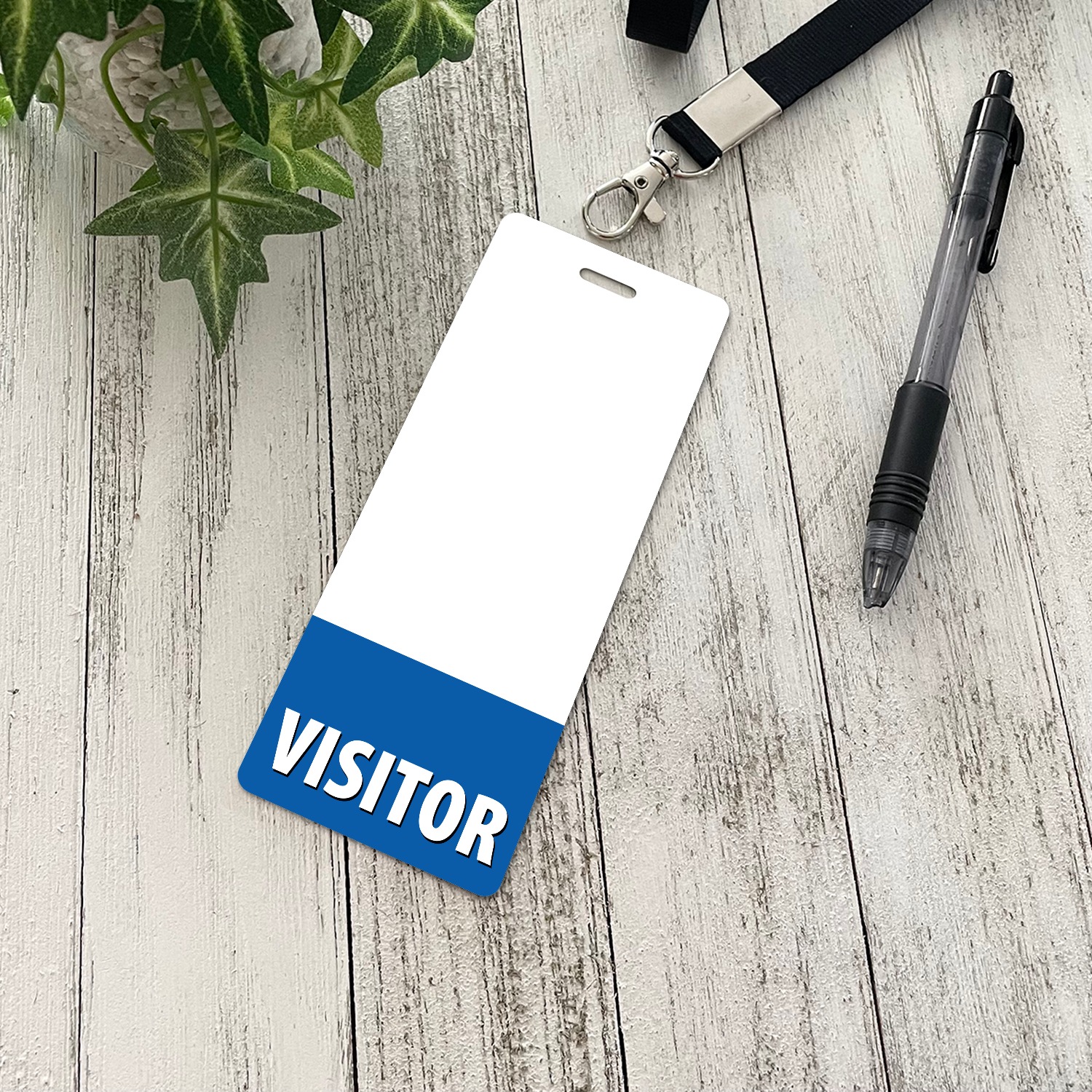 Plants and White Boards - VO mockup