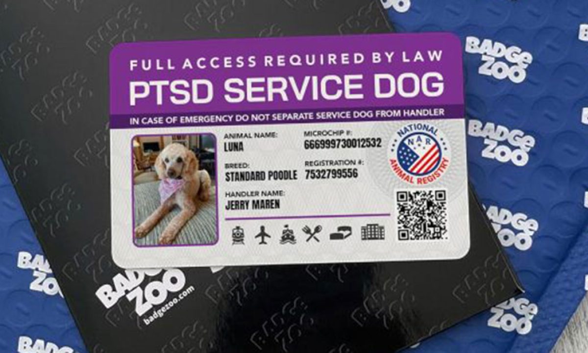 Emotional Support Animal Card Holographic Service Dog ID Card - Customizable For Service, Medical, Emotional Support, PTSD Animals Strap Harness Service Dog Markings Dog Harnesses Emotional Support Animal Card Holographic Service Dog ID Card - Customizable For Service, Medical, Emotional Support, PTSD Animals Strap Harness Service Dog Markings Dog Harnesses