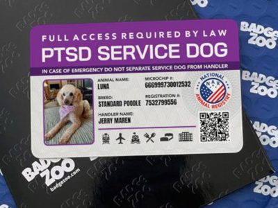 Personalize Service Dog ID Card by BadgeZoo