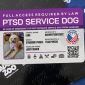 Personalize Service Dog ID Card by BadgeZoo